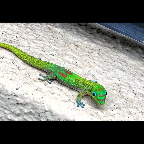 Meet your Posher, Mike - Picture 1 of 1